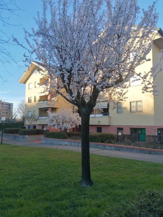 La Casa Blu- Forum Di Assago, Ospedale Humanitas, Milanofiori, Ieo Rozzano Esterno foto